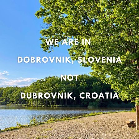Ferienwohnung Hisa Pri Jezeru Dobrovnik Exterior foto
